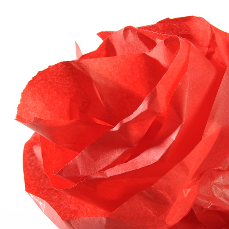 CANSON zijdepapier op rol, pastelroze, 0,5 × 5,0 m, 20 g/m²
